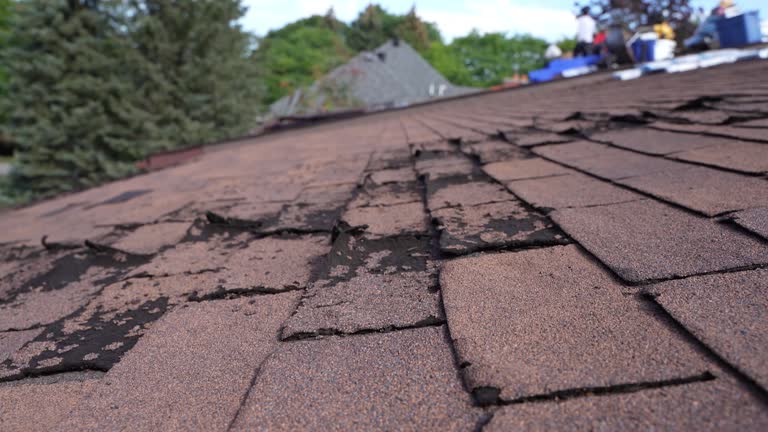 Best Gutter Installation and Repair  in Goldenrod, FL