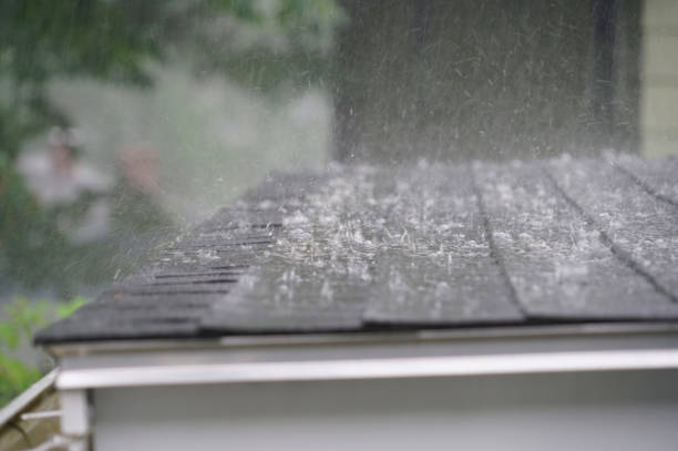 Best Roof Ventilation Installation  in Goldenrod, FL