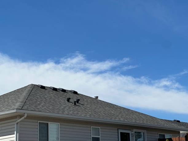 Best Roof Moss and Algae Removal  in Goldenrod, FL